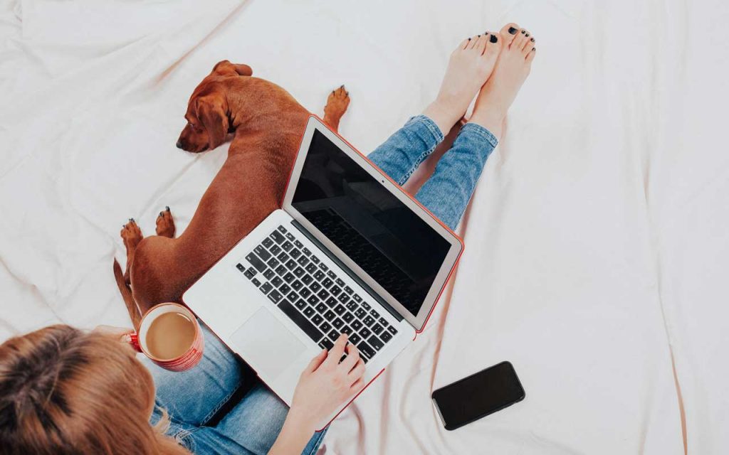 how to stay connected virtually with friends and family: girl with a laptop and a dog