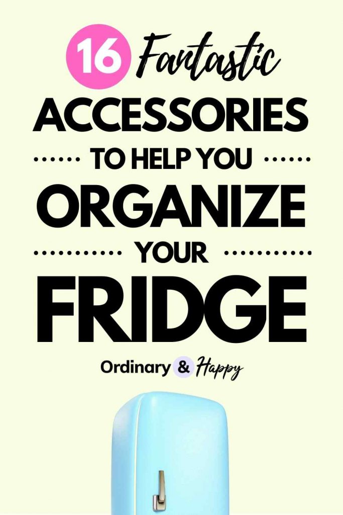 16 Fantastic Accessories to Help You Organize Your Fridge (Image)