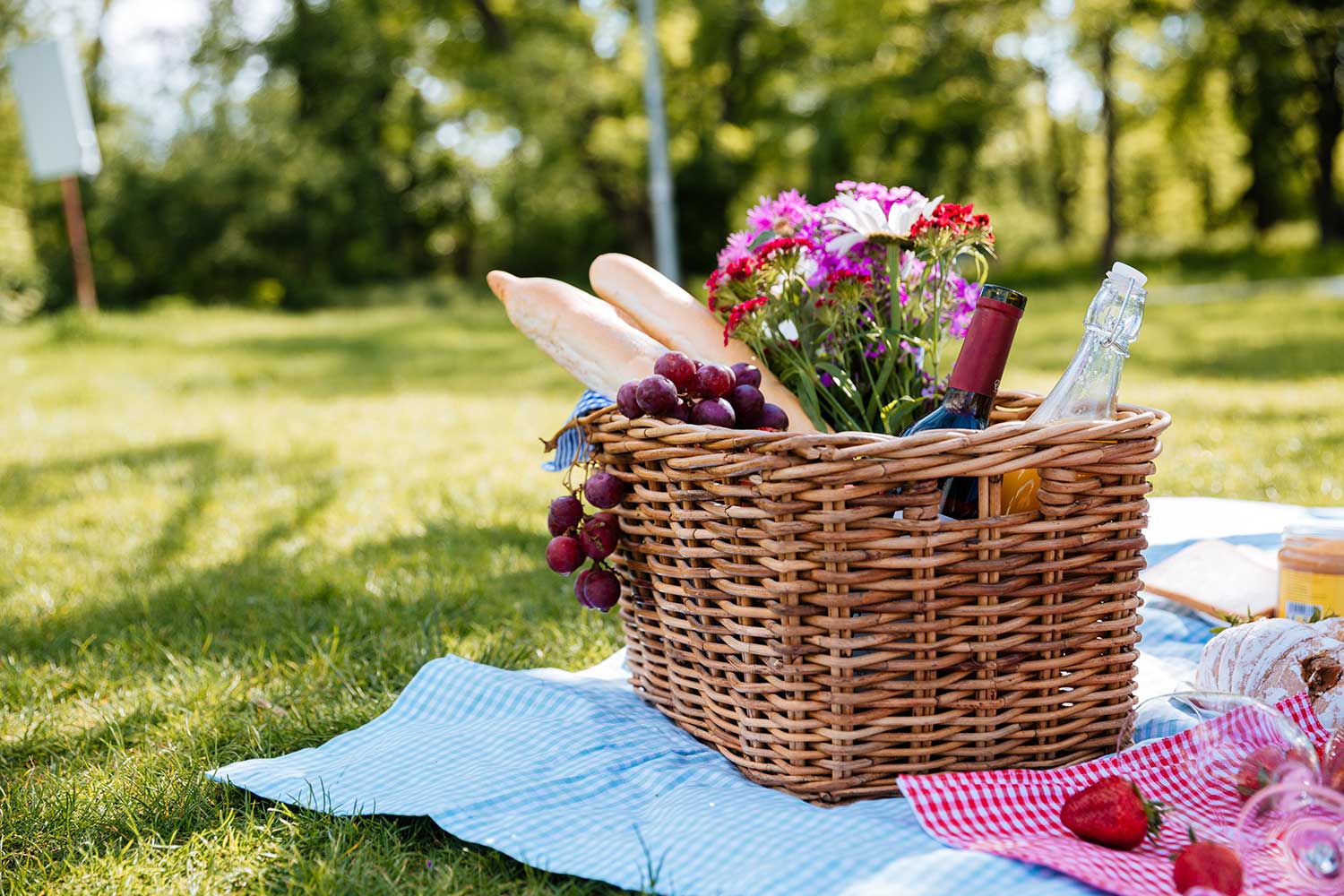 17 Summer Picnic Essentials You Need for the Perfect Picnic - Ordinary ...