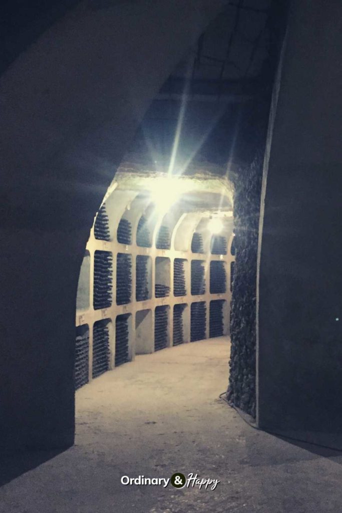 Underground wine cellar.