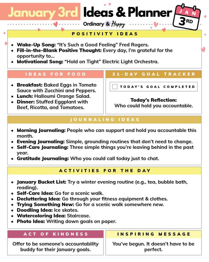 january 3rd daily planner with listed ideas for 7 different areas of life in color-coded boxes