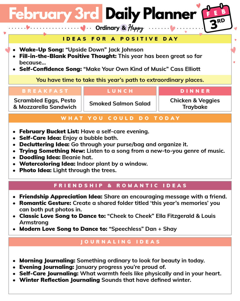 february 3rd daily planner with listed ideas for 7 areas and parts of daily life, displayed in color-coded boxes