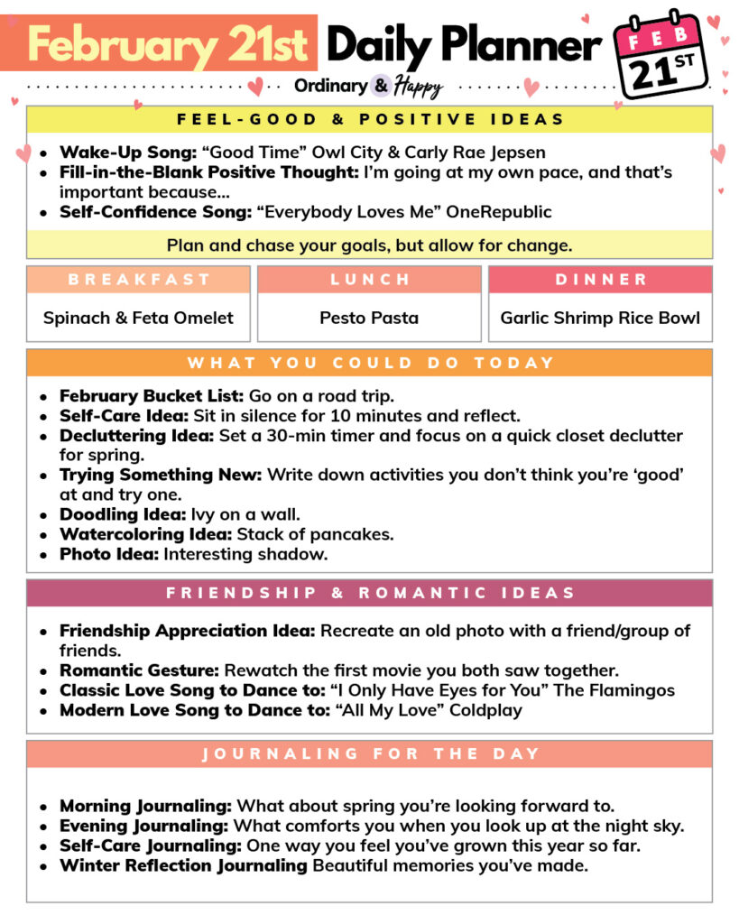 february 21st daily planner consisting of 5 color-coded sections with listed ideas for positivity, food, activities, journaling, and connection