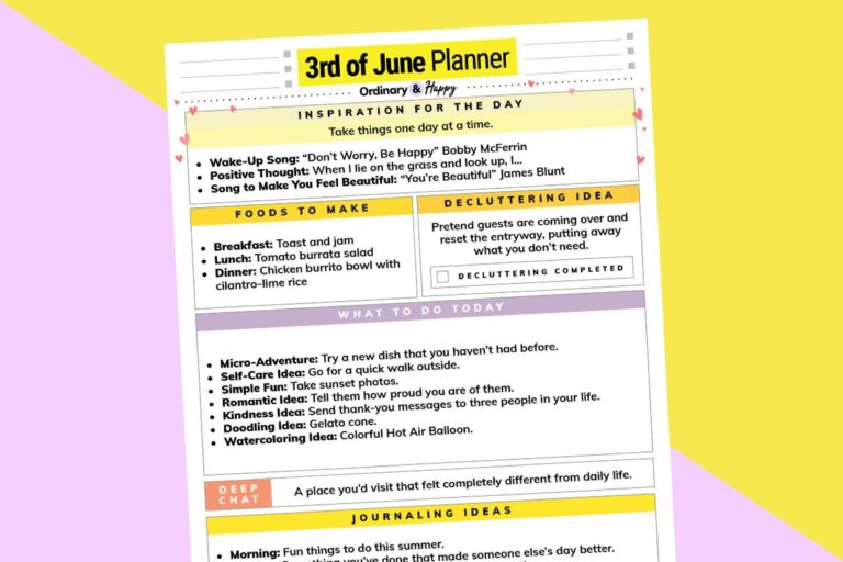 june 3rd daily planner planner displayed on a lilac and yellow block color background